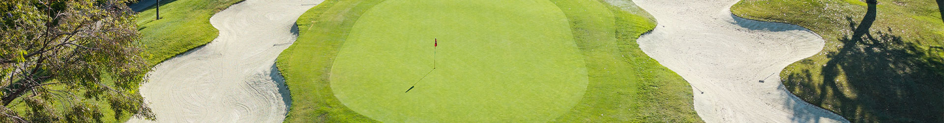 A beautiful panoramic view of a golf course green with a flagstick, surrounded by bunkers and trees.