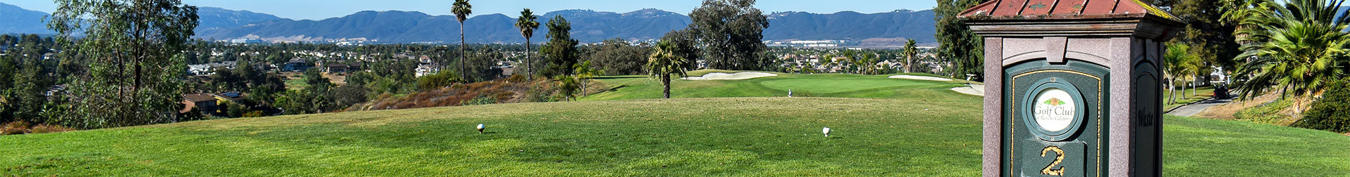 A stunning panoramic view of a golf course with lush green grass, palm trees, and distant mountains under a clear sky.