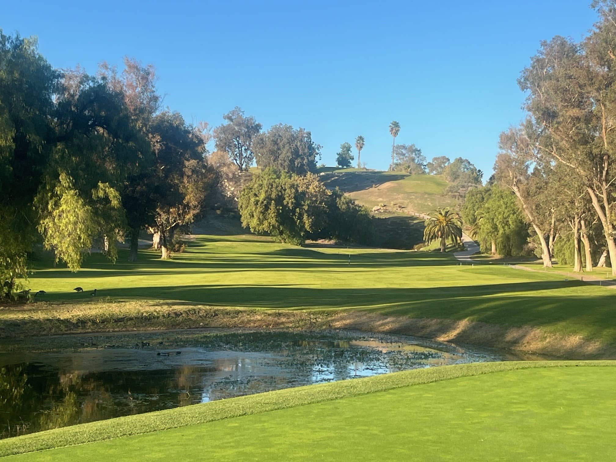 A serene golf course featuring lush fairways, tall trees, and a tranquil pond under a clear blue sky.